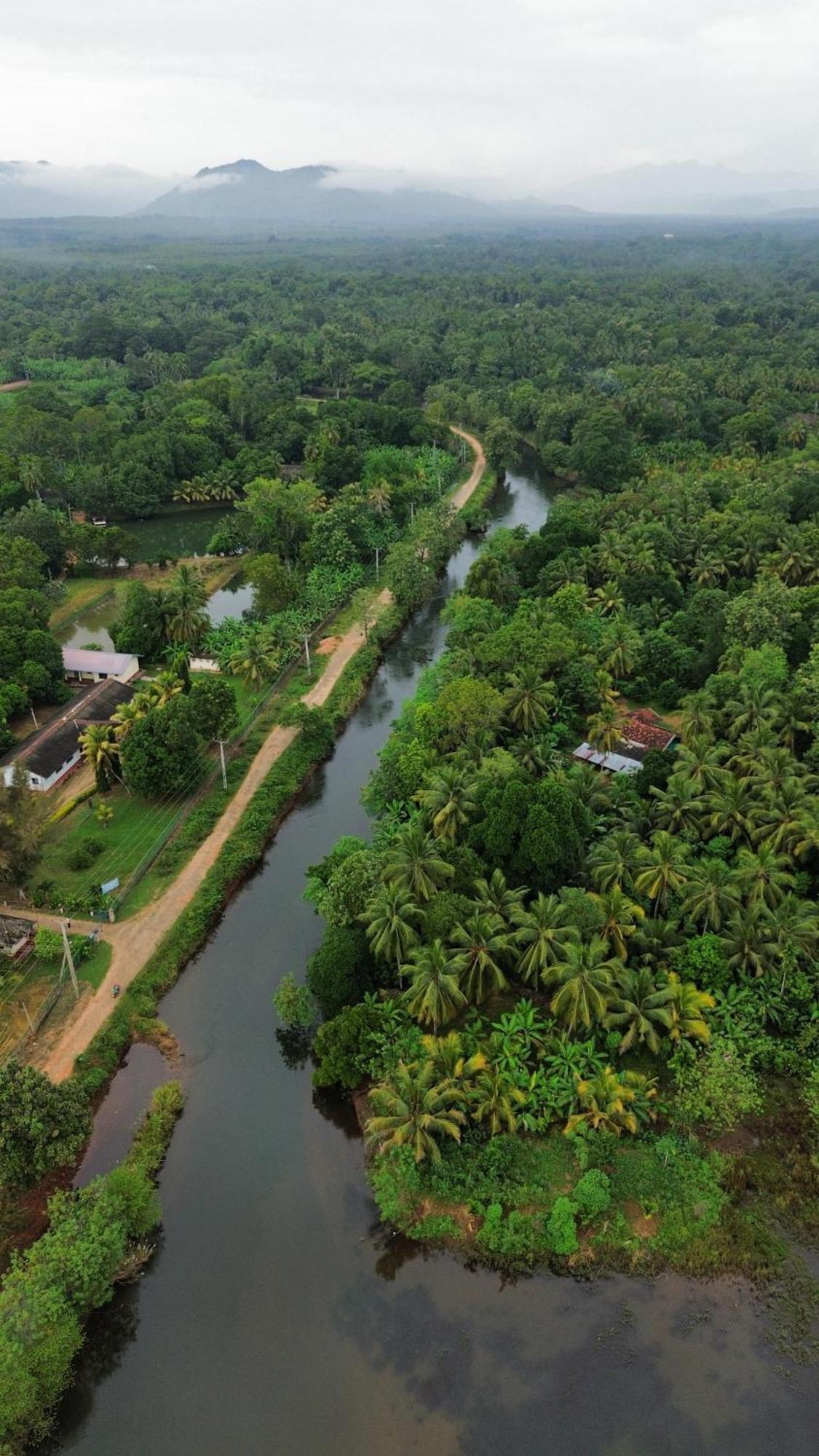 Canal Side Safari Resort Удавалаве Екстериор снимка